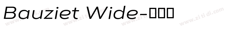 Bauziet Wide字体转换